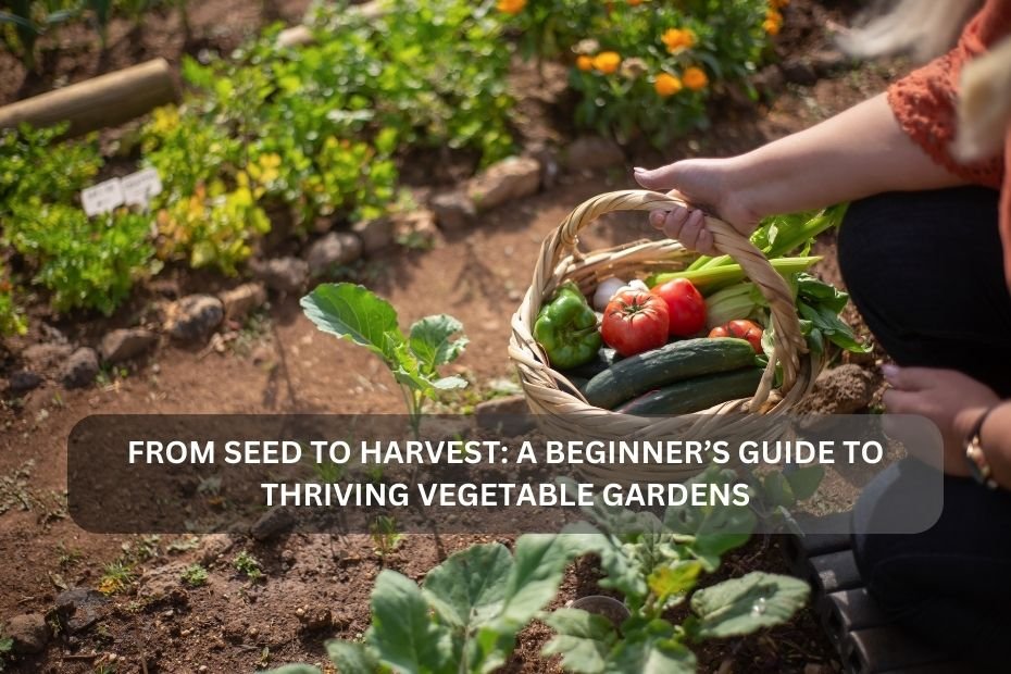 From Seed to Harvest: A Beginner’s Guide to Thriving Vegetable Gardens