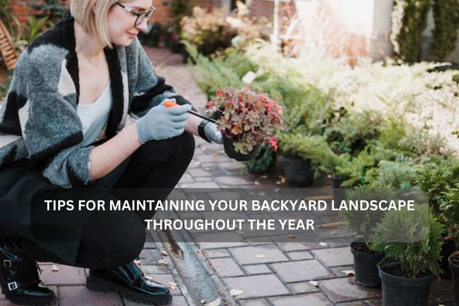 Tips for Maintaining Your Backyard Landscape Throughout the Year