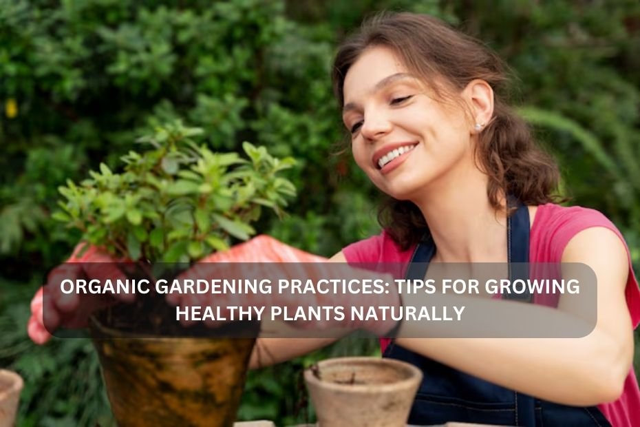 Organic Gardening Practices: Tips for Growing Healthy Plants Naturally